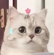 如何通过传球训练增强团队默契？_1